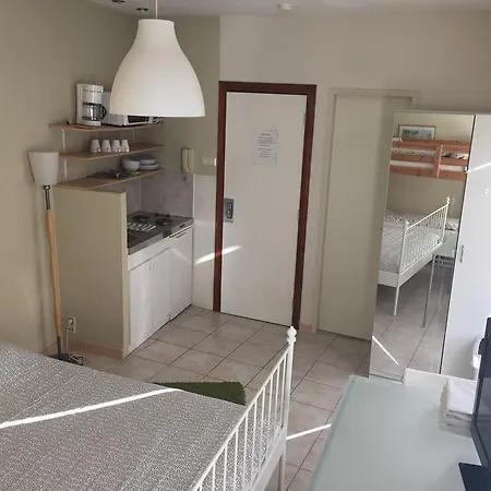 Budget Studio's Apartment The Hague